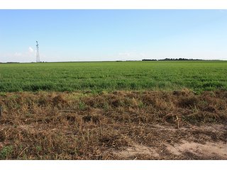 Property photo 102 - LAND AUCTION, 3255+/- Acres offered in 13 Tracts